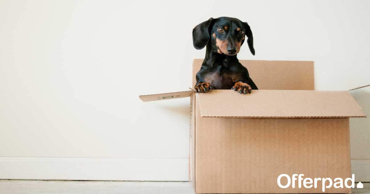 6 tips for an easier moving day from your friends at Offerpad